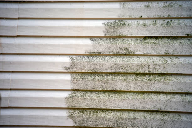 How To Choose The Right Materials for Your Siding Installation in 'Winfield, IN